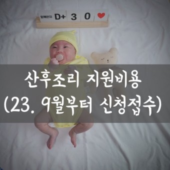 #서울형 산후조리 경비 지원 9월부터 (ft. 소득기준 없음/ 신청방법/ 사용처 소개)