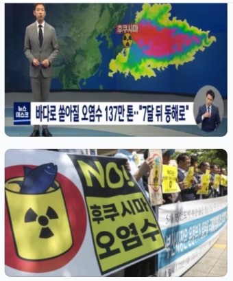 후쿠시마 핵 오염수 방류 한국이 반대할 수 없었던이유와 이후 우리의 자세는?