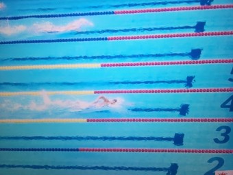 수영 남자 자유형 400m 김우민 금메달로 3관왕 되다