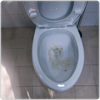 양주시 백석읍 변기막힘 24시 출장 업체