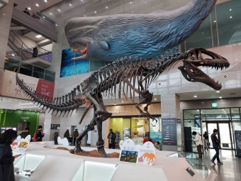 아이랑 서울 실내 여행, 겨울 방학 아이와 가볼 만한 곳 1 서울 실내 여행