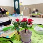 제천육아종합지원센터 엄마와함께 하는 원예놀이 봄꽃나무심기 아젤리아 + 수선화
