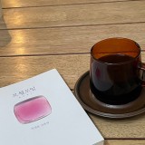 모월모일 - 박연준 산문집