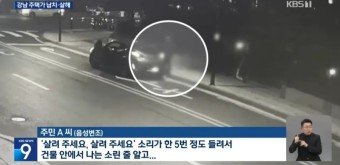 ⛑️ 서울 강남 역삼동 아파트 앞 40대 여성 납치 살해 사건 범인 3명 검거 ! CCTV 포착 시신 대전 대청댐 유기