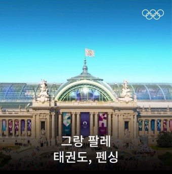 2024 파리 올림픽 경기장 공개! 한국 브레이킹 국가대표 현재 랭킹을 알아보다.