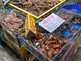 가락시장 | 대게대게 맛있는 송파 가락시장 대게 (명가수산)