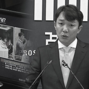 이정섭 차장검사, 처남댁의 폭로와 검찰권력