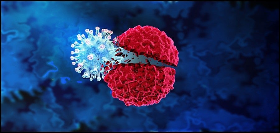 암의 이해: 역사, 현대 연구, 그리고 미래의 희망 2 암