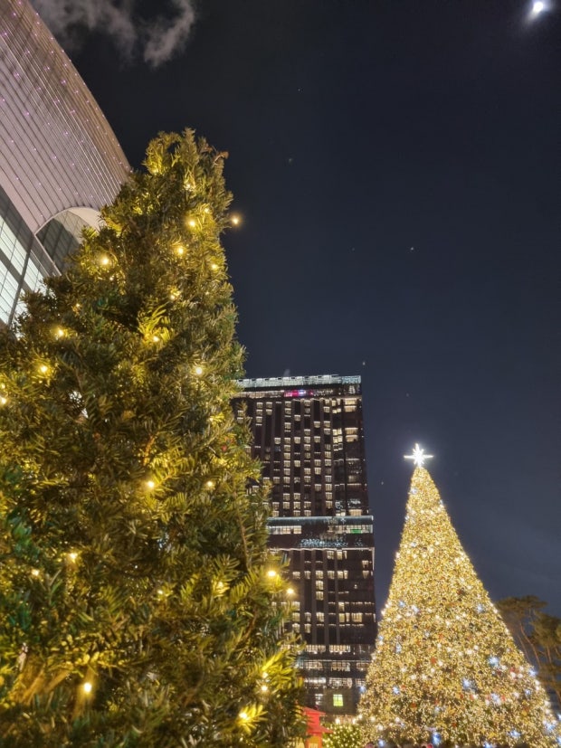 잠실 롯데 크리스마스 대형 트리 야경