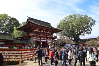 일본 후쿠오카여행 학문과 문화의 신을 모신 다자이후 텐만구