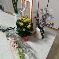 철산역 꽃집 "그마음, 꽃" 에서 꽃 + 화분 샀어요!