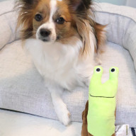 강아지 장난감 펫더맨 달팽이 노즈워크 장난감 삑삑이도 돼요