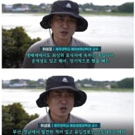 한국서 의외로 환영받고있는 외래종