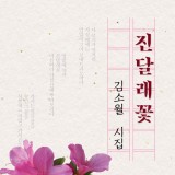 [신간] 대한민국 대표 문학 시리즈: 진달래꽃 - 김소월 시집