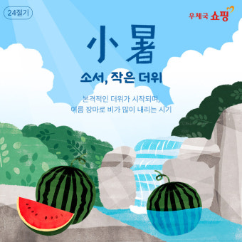 오늘은 '소서'이 음식을 드소서