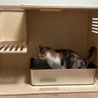고양이 스텐리스 화장실 대형 XL 내돈내산후기