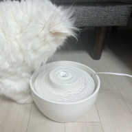 두잇 웨이브팟 저소음 세라믹 고양이 정수기