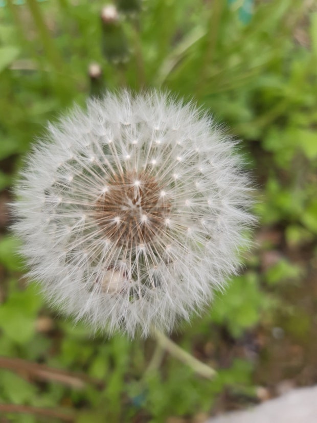 ?src=http%3A%2F%2Fblogfiles.naver.net%2FMjAyNDA3MTZfMjgz%2FMDAxNzIxMDU2NjkzMjM5.LofAWSaNzid3K5s22uehUu18rDVdrXs8neBqkdej-WQg.qRwBandVOsaC2R4nL9F9SM9ZU8kgsI8iskr8MKkheI8g.JPEG%2FKakaoTalk_20240715_223701508_03.jpg&type=sc960_832