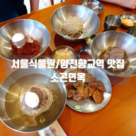 서울식물원 양천향교역맛집 소곤면옥 직접 뽑은 순메밀 평양냉면/비빔/들기름