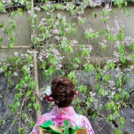 n년 전 오사카 벚꽃여행
