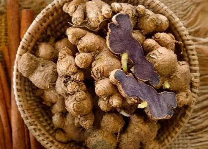 파비플로라 효능 진짜일까? 부작용·실제 복용· 감량 후기까지 정리