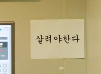 살려야한다