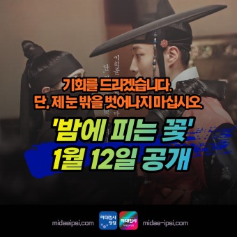 드라마 밤에 피는 꽃 정보/등장인물/시놉시스 이하늬 이종원 김상중 이기우 MBC 드라마 웨이브 쿠팡플레이 12부작