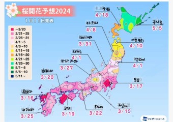 일본 벚꽃 여행 시기 추천 2024년 일본 각 지역별 벚꽃 개화 예상 시기