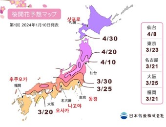 2024 일본 벚꽃 개화기, 만개 시기 (2024.01.25발표 사쿠라맵) 업데이트