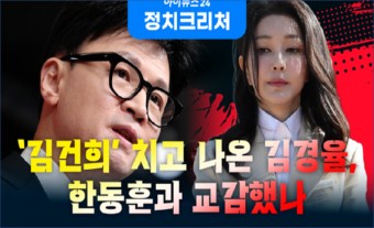 '특검거부' 물타기하는 이수정.김경율, 명품백·주식이 