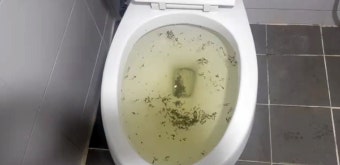 일산동구 정발산동 변기막힘 뚫는업체 24시 출장