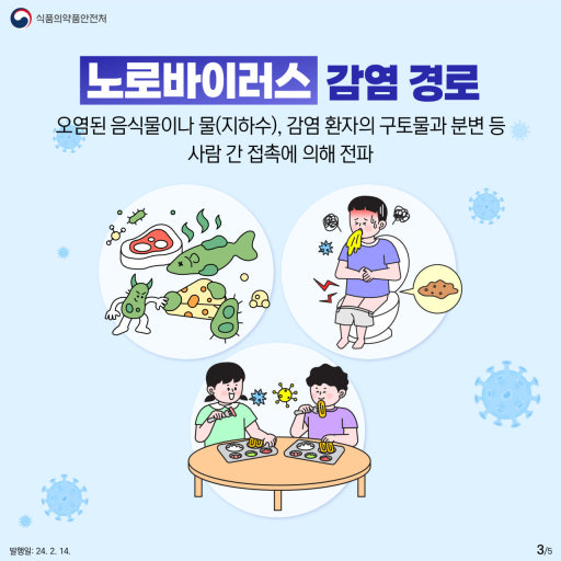 노로바이러스 전염 경로 이미지