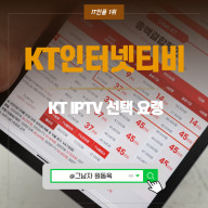 KT 인터넷 티비 요금제, KT IPTV 선택 요령