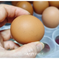 계란 유통 기간 노른자 흰자 기한 보관 방법