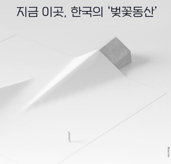 LG아트센터 사이먼 스톤 연출 벚꽃동산 전도연 박해수 캐스팅
