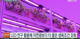 빈 건물이 딸기농장으로…대전시, 공실 활용한 스마트팜