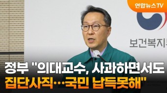 정부 '의대교수, 사과하면서도 집단사직…국민 납득못해' / 연합뉴스TV (YonhapnewsTV)