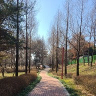 김제 가볼 만한 곳, 김제 시민문화 체육공원의 풍경(3월 16일)