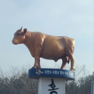 서해안 고속도로의 홍성휴게소(서울방향) 방문