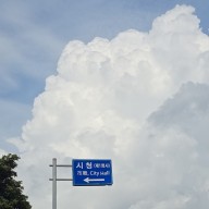 제주 서귀포시청 근처 빵집 올리브브레드 내돈내산 솔직후기