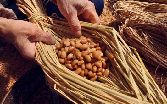 更年期に優しい発酵食品 美味しそうな発酵食品