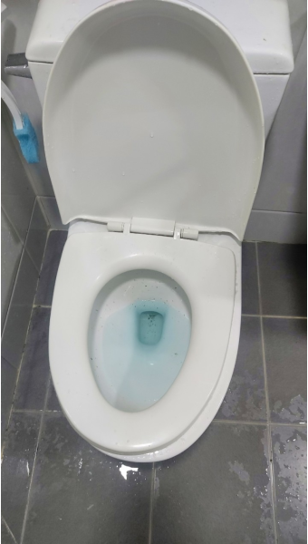 미추홀구 관교동 변기막힘 뚫는 업체 24시