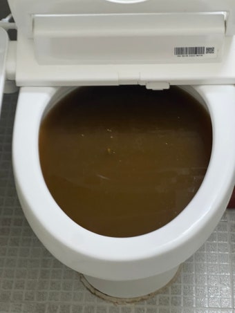 강북구 번동 변기막힘