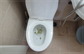 강화도 송행면 변기막힘 출장업체 24시