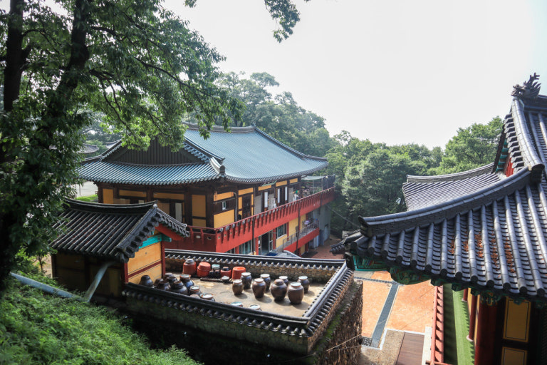 도리사 전경 1