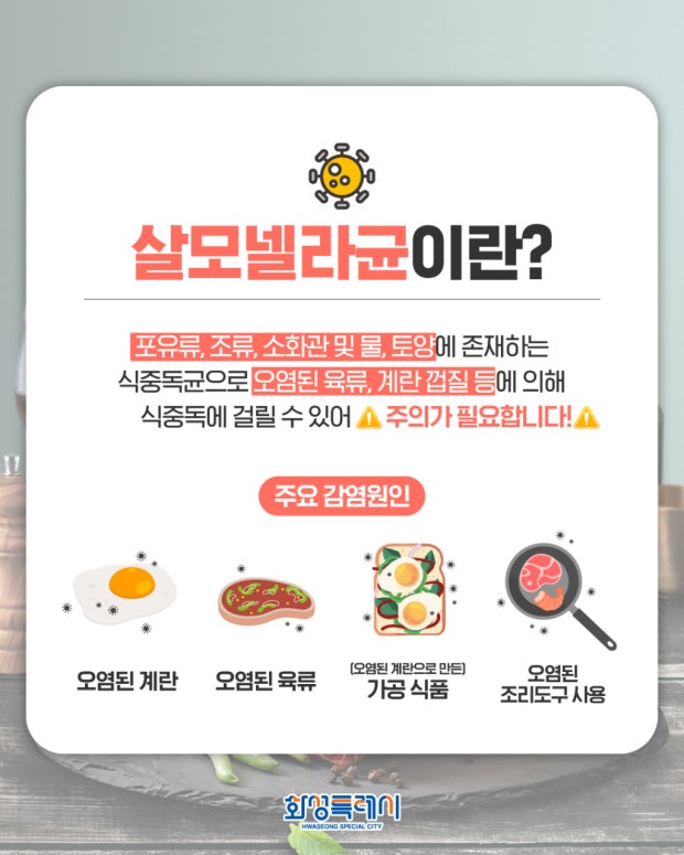 살모넬라균은 포유류, 조류의 소화관이나 토양, 물에 존재하는 식중독균으로, 오염된 육류·계란 껍질·조리도구 등을 통해 감염될 수 있습니다.