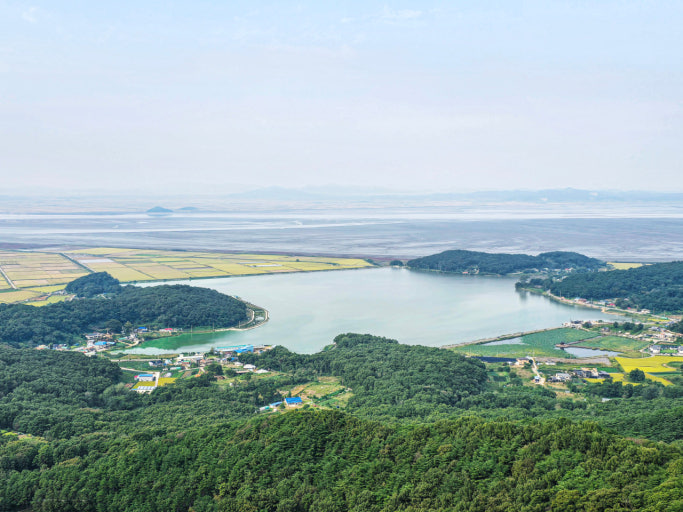 교동도 전경