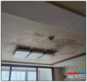 강남구 수서동 천장 누수 출장 업체!