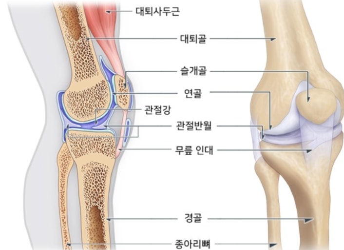 膝盖疼的时候应该冷敷还是热敷?