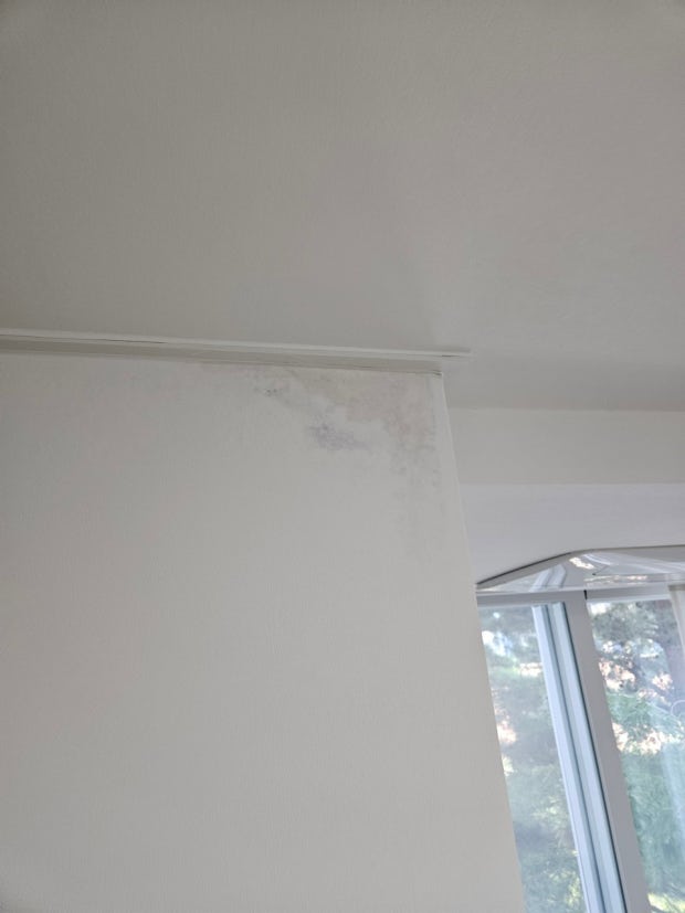 관악구 대학동 누수 24시 출장 업체